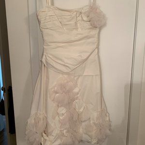 BCBG Dress